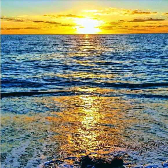 new listings soon🌱 - Picture 2 of 11